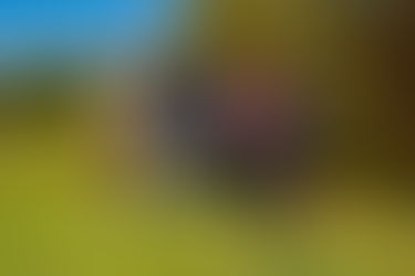 LTG Attends UVACH Annual Philanthropy Event