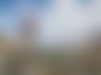 Discover the top 5 things to do in and around Mayo, Yukon. From fishing the Stewart River to hiking trails, history tours, photography hotspots, and exploring the Silver Trail, this guide has it all.