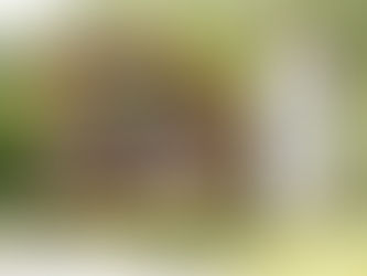 Plan the ultimate trip with this insider’s guide to Yukon Getaway. Learn packing tips, best times to book, local eats, and must-try experiences in Mayo, Yukon.