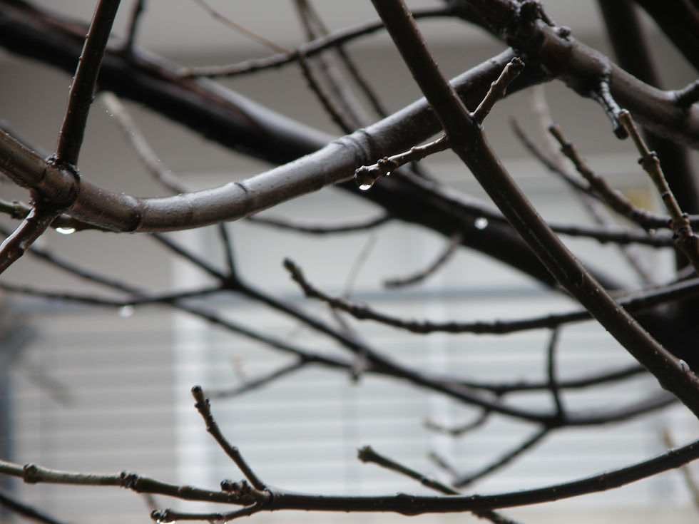 Días de lluvia y encierro