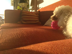 HF_Alvizua_Mi Relajacion