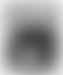 L'époque de la création des Pays-d'en-Haut- dans la région du canton de Wentworth (suite et fin)