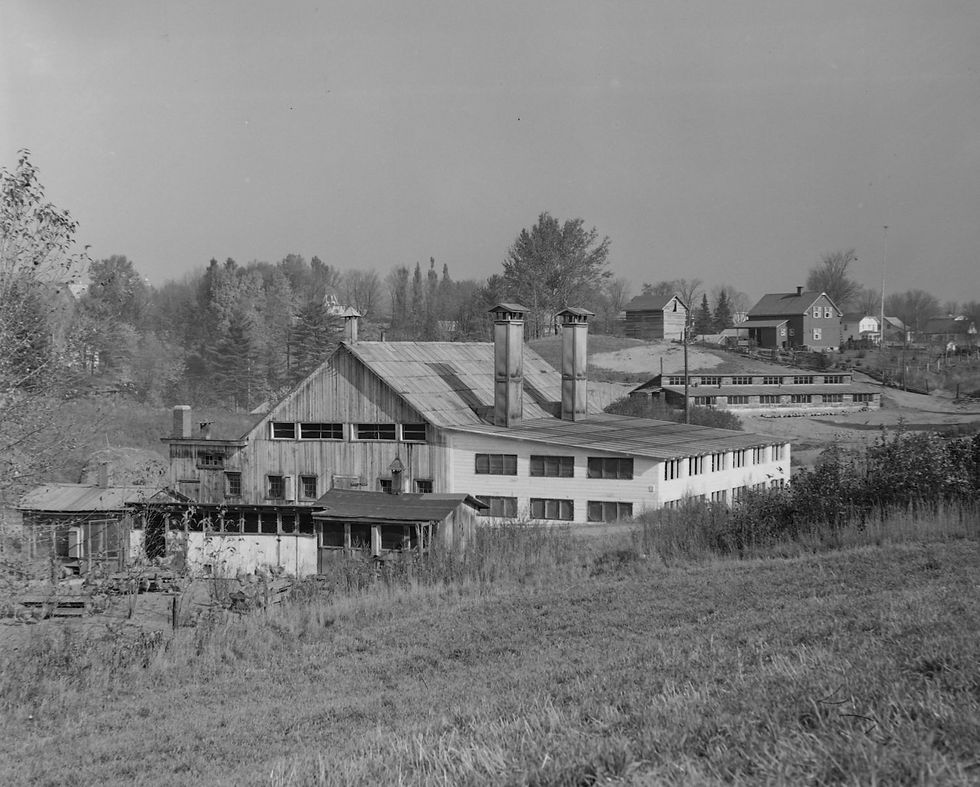 1. Élevage de volailles BANQ (1).jpg