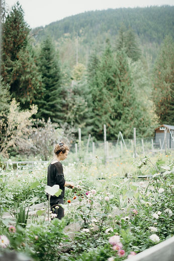 Silver & Tin Tintype Photography Sydney Woodward-51.jpg