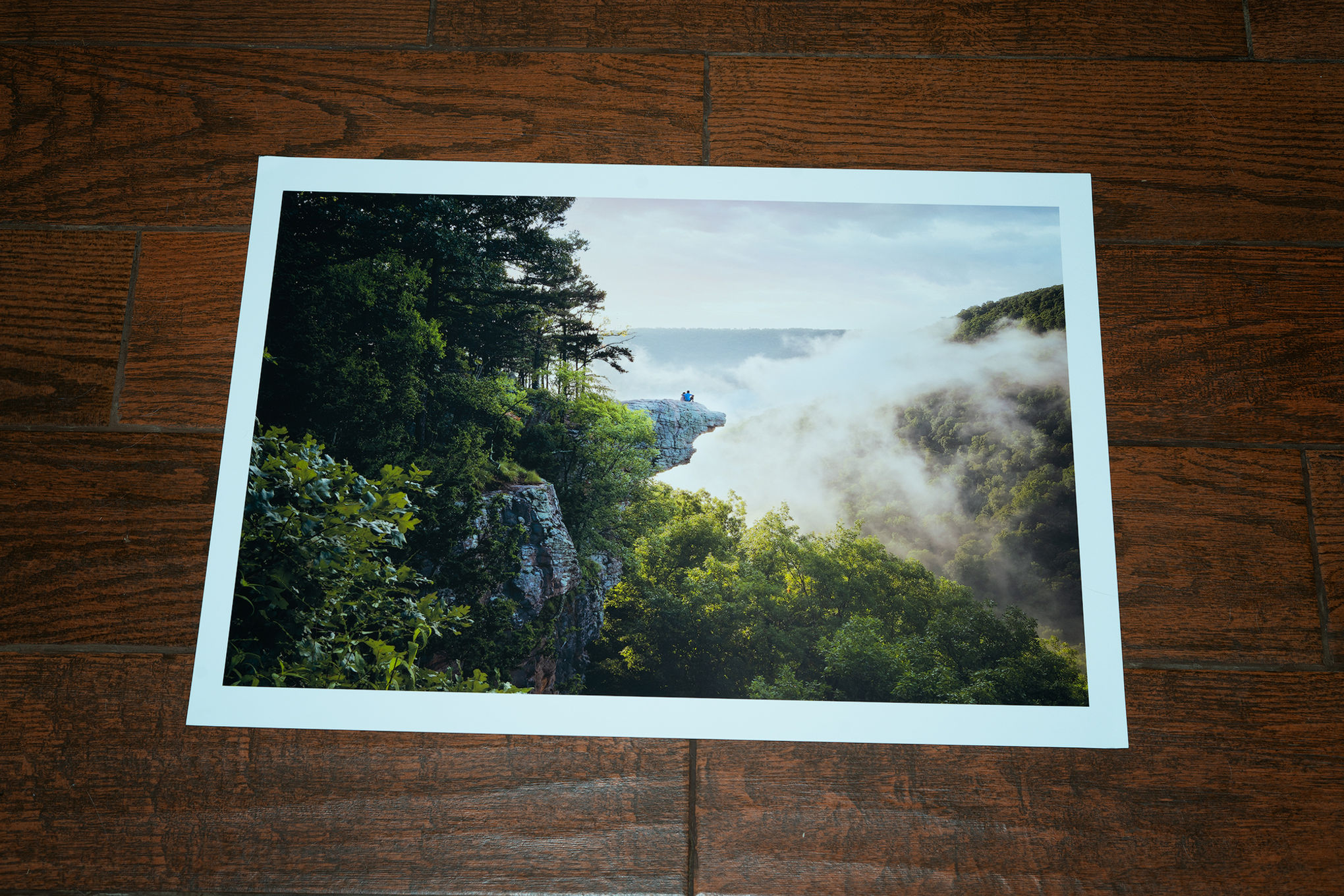 Whitaker Point - Limited Edition