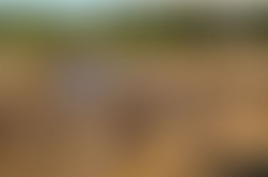 Niari : à Tsinguidi, la défiance grandit face à l’exploitation minière
