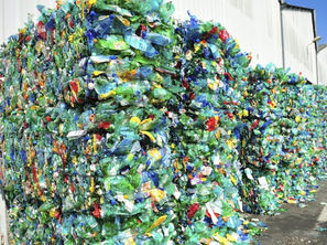 Congo : Dangote Cement mise sur l’économie circulaire pour accélérer la transition industrielle