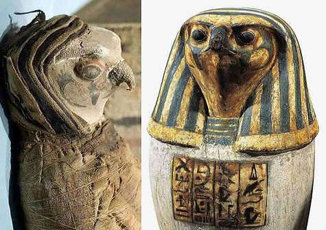 Sacred birds of Egypt