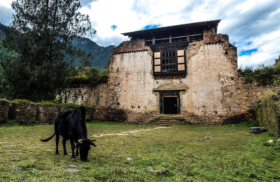 Drugyel Dzong, Paro, 2016 | Photo © Nishita Mohta