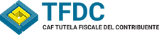 logo-TFDC.png