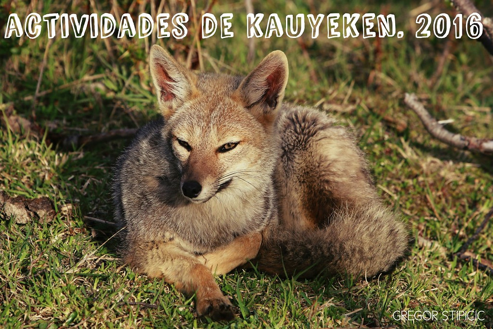 actividades kauyeken