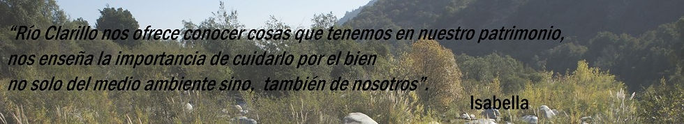 citas columna clarillo 1