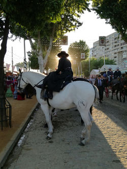Duque, Pedro Pablo