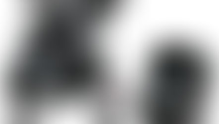 Stroller Star (Plus Car Seat!) 