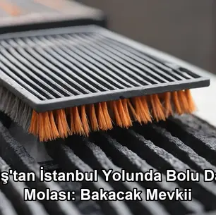 Muş İstanbul yolunda mola - Bolu Dağı Bakacak Mevkii et mangal