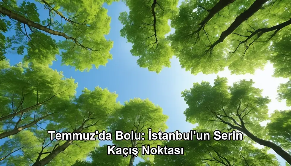 Temmuz'da Bolu - kapak görseli