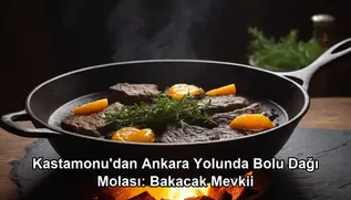 Kastamonu Ankara yolunda mola - Bolu Dağı Bakacak Mevkii et mangal