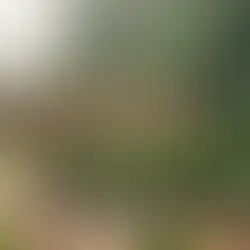 Bolu paragliding yamaç paraşütü - Bolu Dağı İbrahimin Yeri