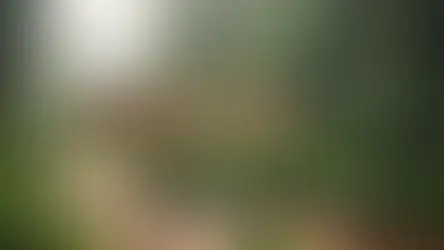 Bolu paragliding yamaç paraşütü - Bolu Dağı İbrahimin Yeri