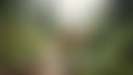 Bolu yerel pazar rehberi - Bolu Dağı İbrahimin Yeri