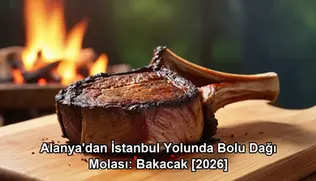 Alanya İstanbul yolunda mola - Bolu Dağı Bakacak Mevkii