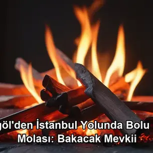 Bingöl İstanbul yolunda mola - Bolu Dağı Bakacak Mevkii et mangal