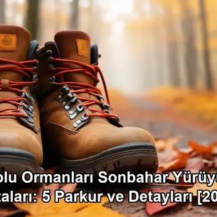 Bolu ormanları sonbahar yürüyüş - Bolu Dağı İbrahimin Yeri