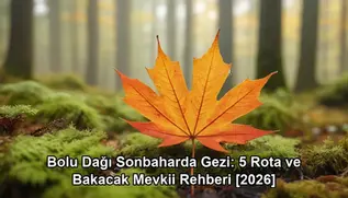 Bolu Dağı sonbaharda gezi - kapak görseli