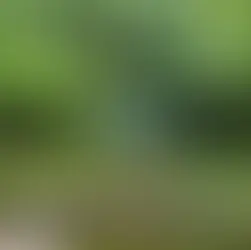 Bolu gezilecek yerler - kapak görseli