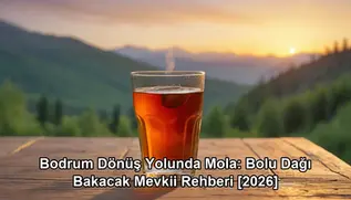 Bodrum dönüş yolunda mola - kapak görseli