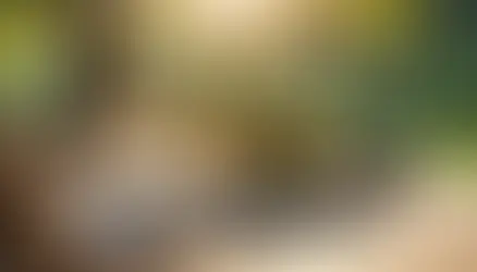 askeri birlik yemeği Bolu organizasyon - Bolu Dağı İbrahimin Yeri