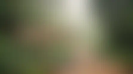 Bolu günübirlik gezi rotaları - Bolu Dağı İbrahimin Yeri