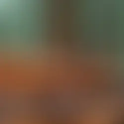 Bolu Dağı toplu taşıma grup - kapak görseli