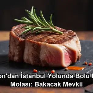 Afyon İstanbul yolunda mola - Bolu Dağı Bakacak Mevkii et mangal