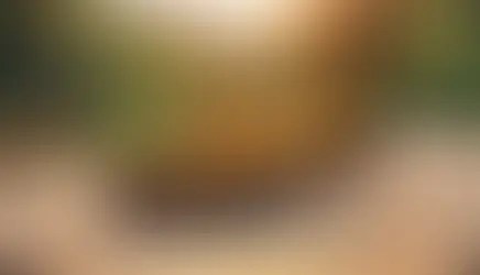 düğün yemeği Bolu Dağı - kapak görseli