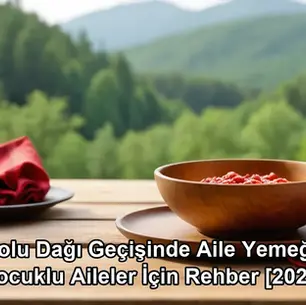 Bolu Dağı geçişinde aile yemeği - kapak görseli