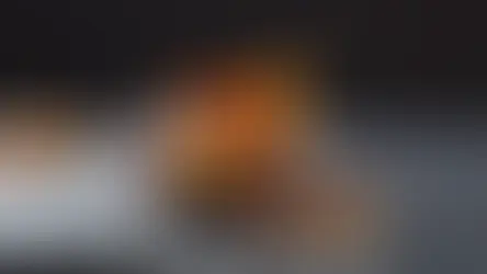 Bolu kestanesi ekim kasım - kapak görseli
