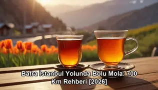 Bafra İstanbul yolunda Bolu mola - Bolu Dağı İbrahimin Yeri
