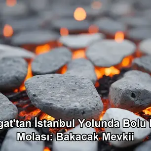 Yozgat İstanbul yolunda mola - Bolu Dağı Bakacak Mevkii et mangal
