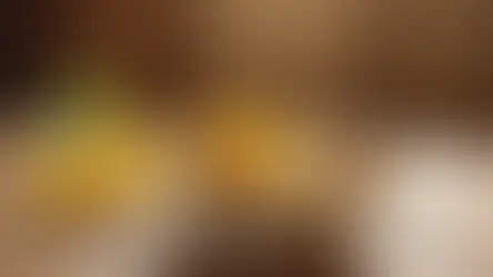 Bolu mantarı yabani orman - Bolu Dağı İbrahimin Yeri