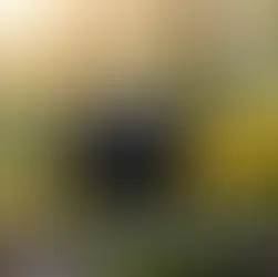 Bolu doğa fotoğrafçılığı orman göl - Bolu Dağı İbrahimin Yeri