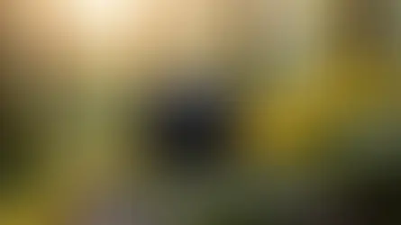 Bolu doğa fotoğrafçılığı orman göl - Bolu Dağı İbrahimin Yeri