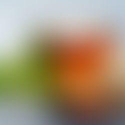 Rize'de ne yenir - çay ve hamsi