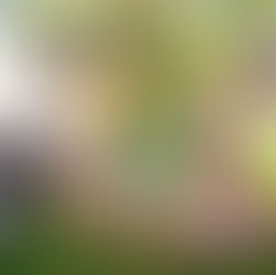 çocuklarla bolu dağı mola - kapak görseli