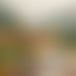 Bolu Dağı Bakacak Mevkii adres - kapak görseli