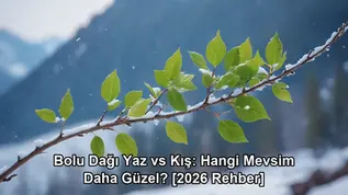 Bolu Dağı yaz kış mevsim karşılaştırma - kapak görseli
