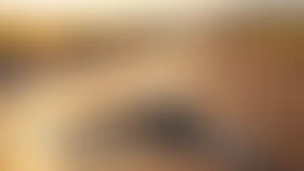 bayram tatili mola - kapak görseli