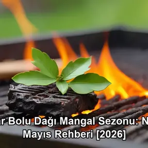 bahar Bolu Dağı mangal - Bolu Dağı İbrahimin Yeri