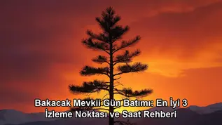 Bakacak Mevkii gün batımı - kapak görseli