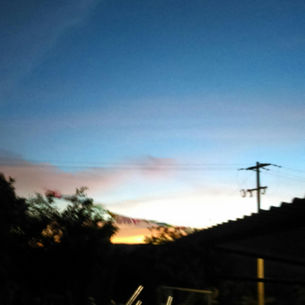 TEM otoyolunda Bolu Dağı geçişinde orman manzarası